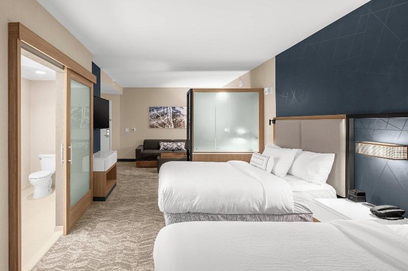 Springhill Suites By Marriott Jackson image