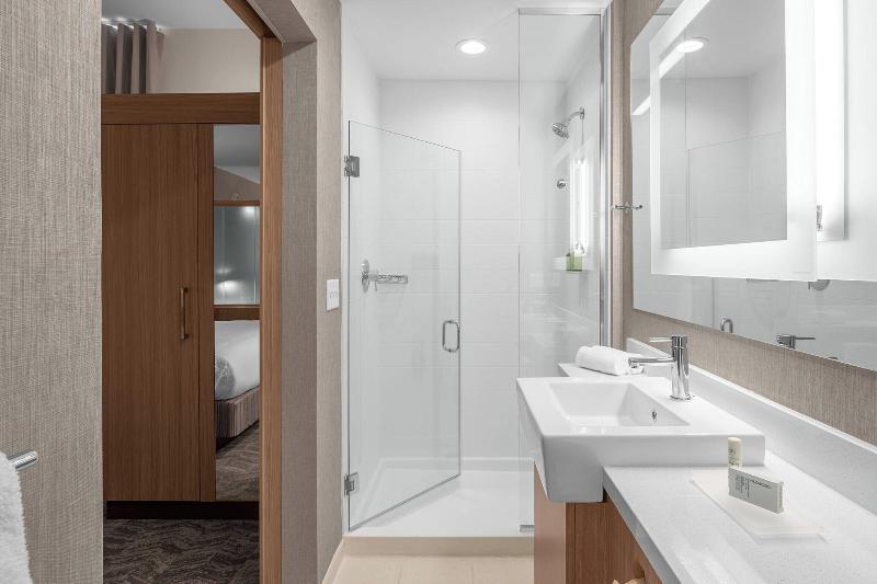Springhill Suites By Marriott Jackson image