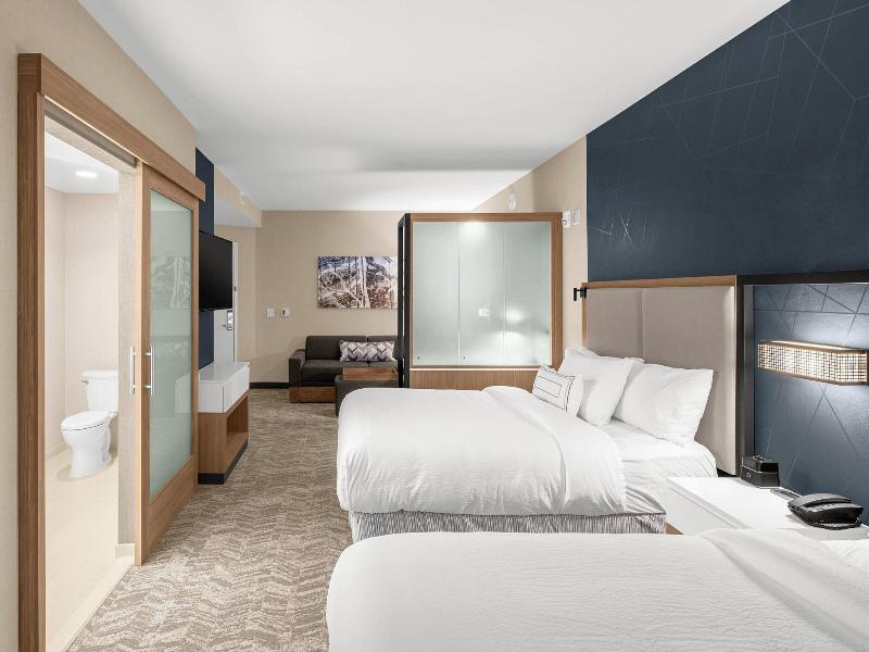 Springhill Suites By Marriott Jackson image