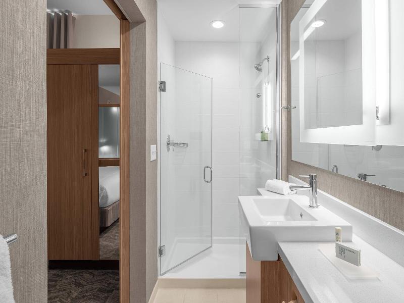 Springhill Suites By Marriott Jackson image