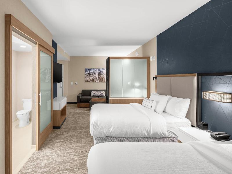 Springhill Suites By Marriott Jackson image