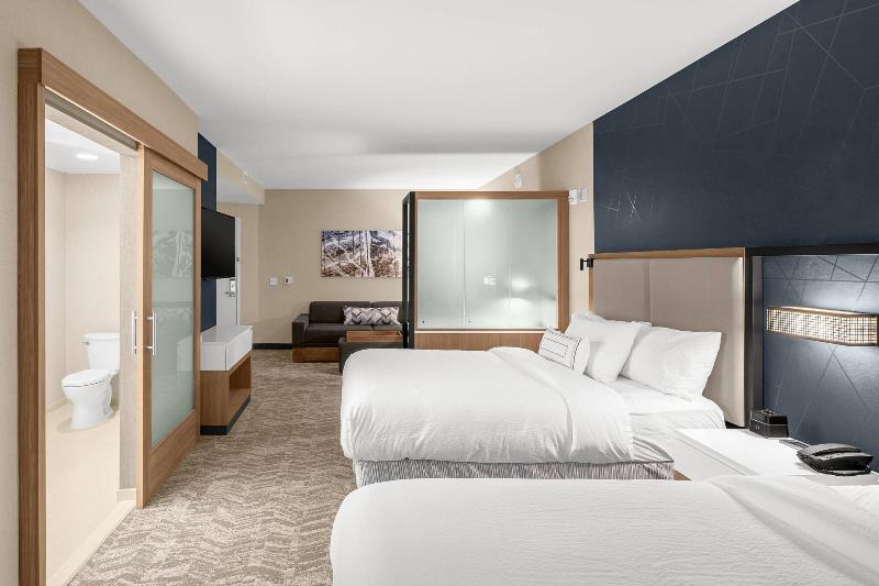 Springhill Suites By Marriott Jackson image