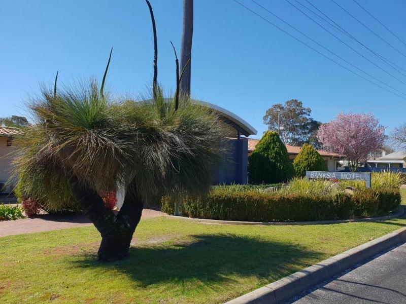 banksia motel collie