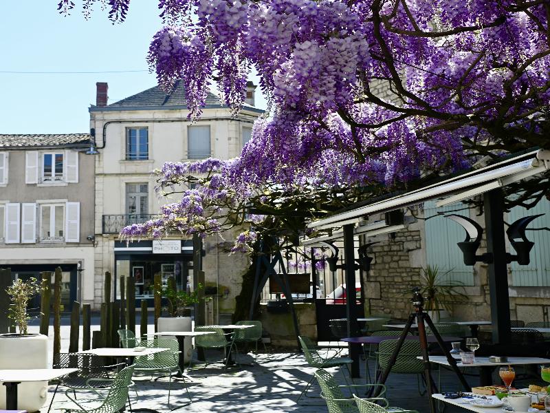 Logis Hotel Le Fontarabie image