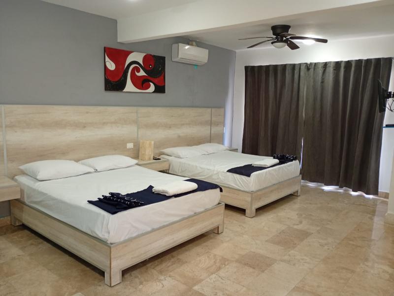 Hotel Punta Esmeralda image