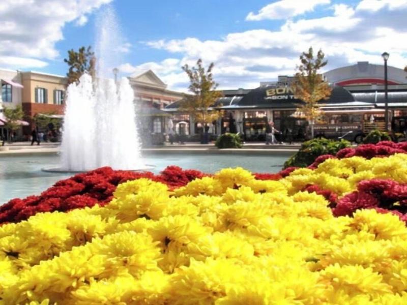 Springhill Suites Columbus Airport Gahanna image