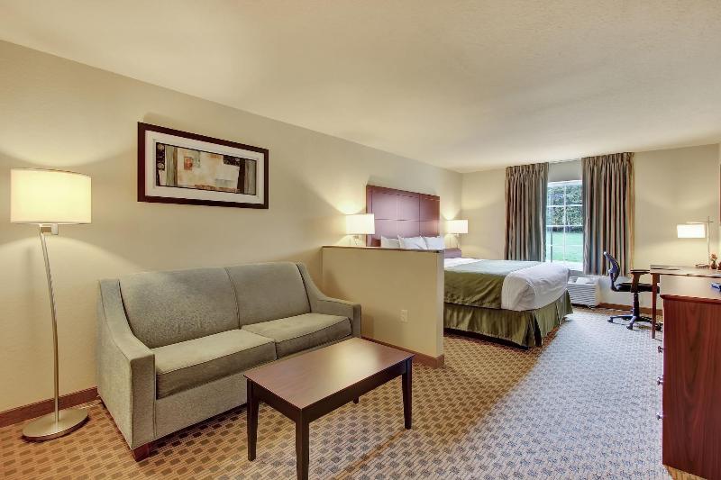Cobblestone Hotel Suites Waynesboro image