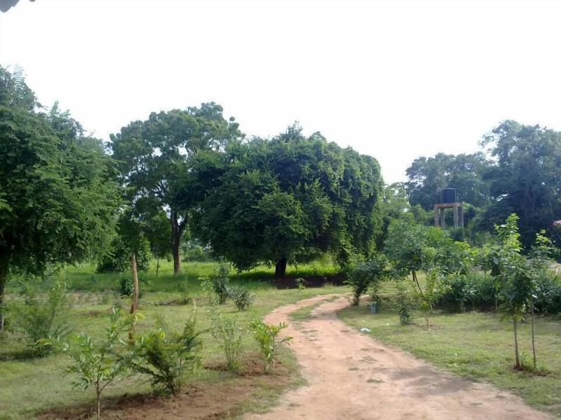 Dilsara Holiday Resort image