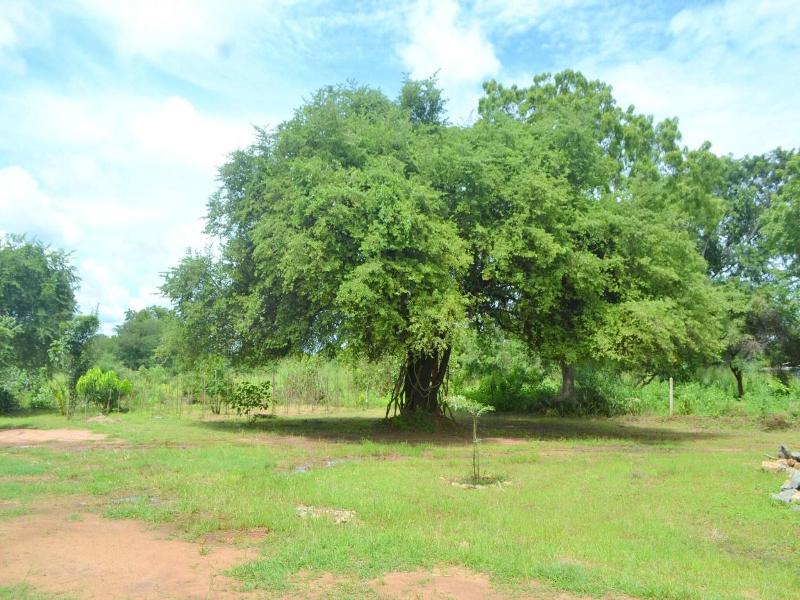 Dilsara Holiday Resort image