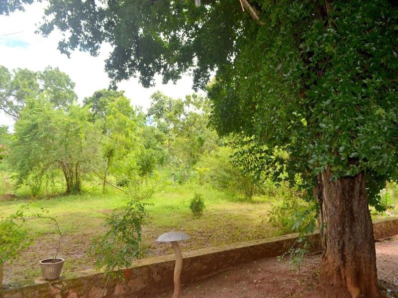 Dilsara Holiday Resort image