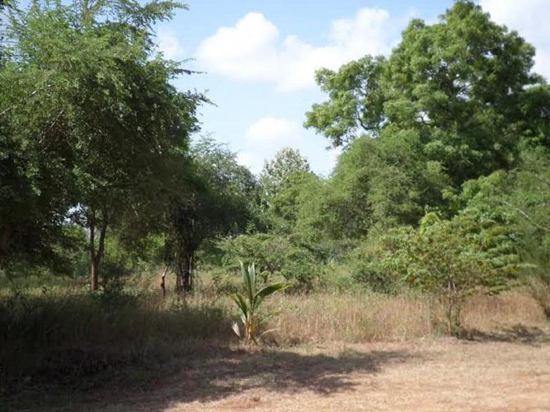 Dilsara Holiday Resort image