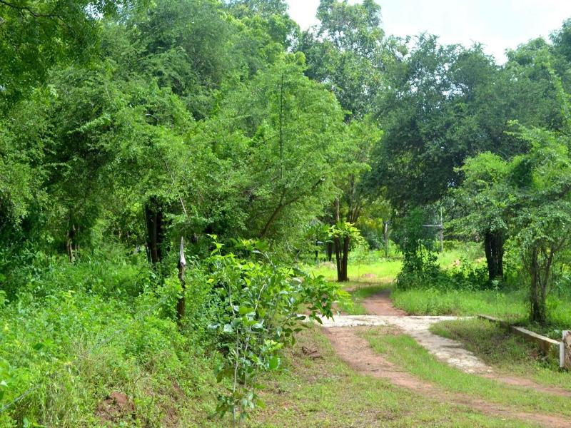 Dilsara Holiday Resort image