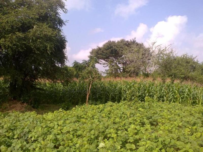 Dilsara Holiday Resort image