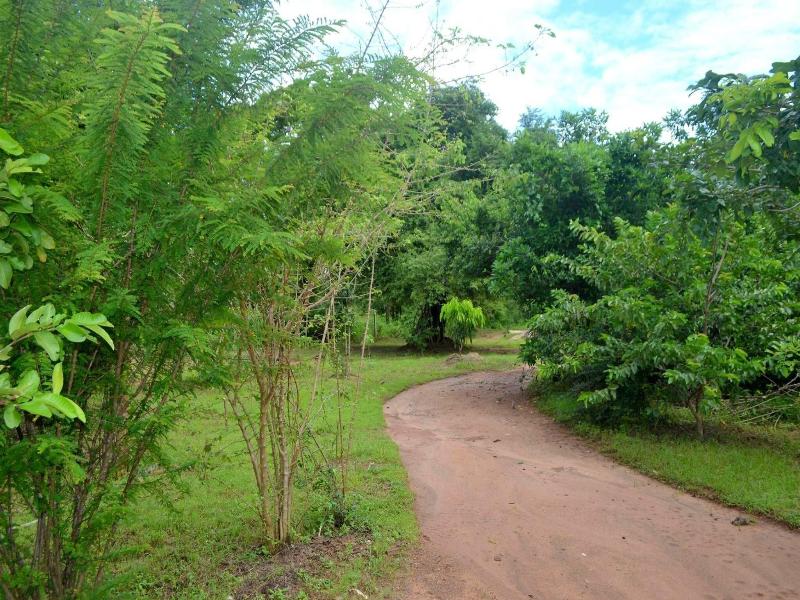 Dilsara Holiday Resort image