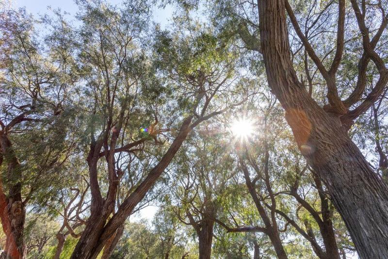 Busselton Villas and Caravan Park