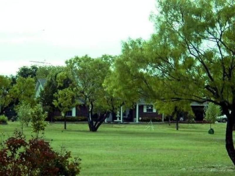 Old Irish Bandb Patricks Pastures Alpaca Ranch image