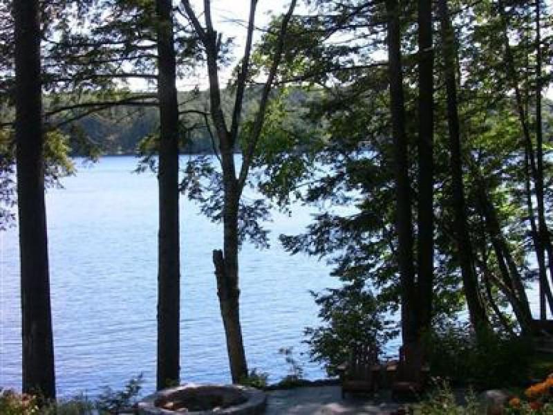 The Fern Lodge image