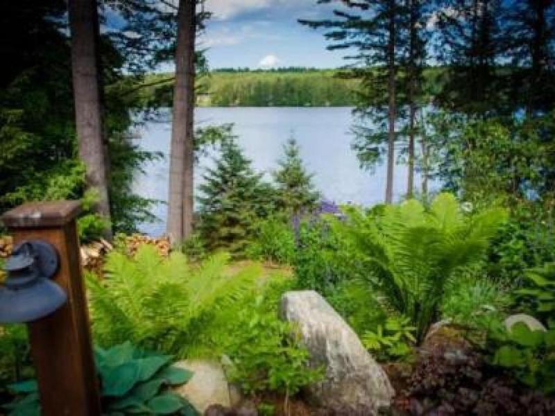The Fern Lodge image