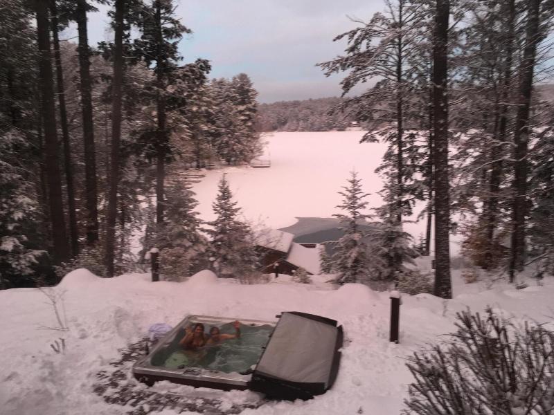 The Fern Lodge image