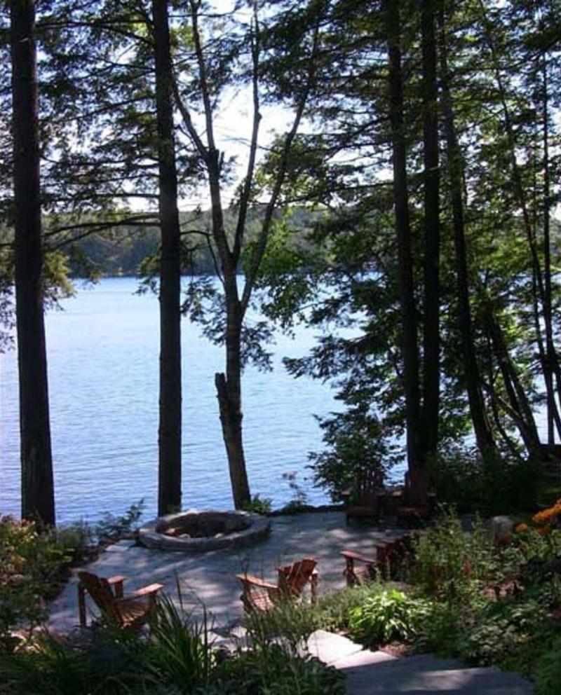 The Fern Lodge image