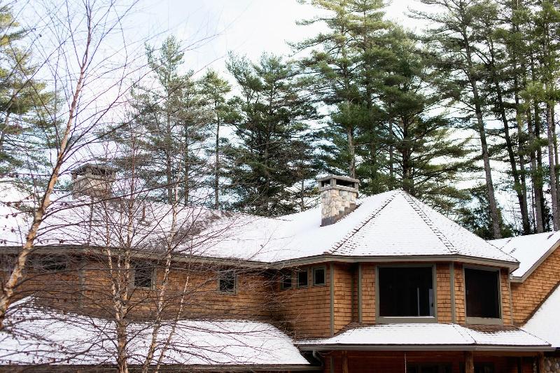 The Fern Lodge image
