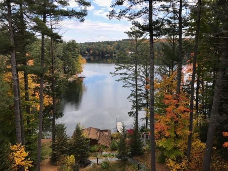 The Fern Lodge — general view