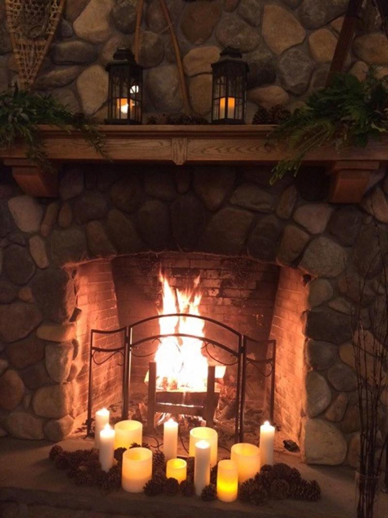 The Fern Lodge image