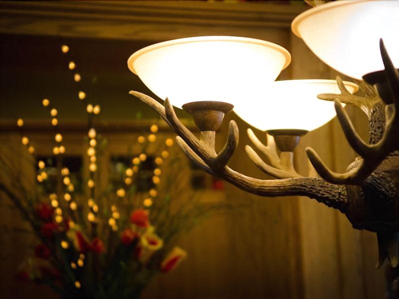 The Fern Lodge image