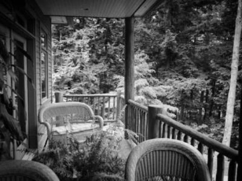 The Fern Lodge image