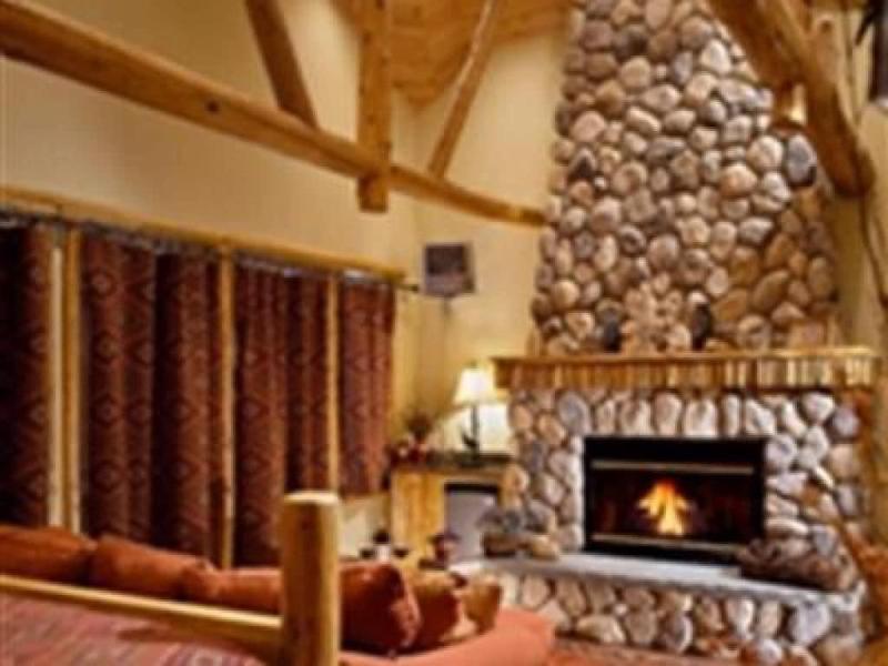 The Fern Lodge image
