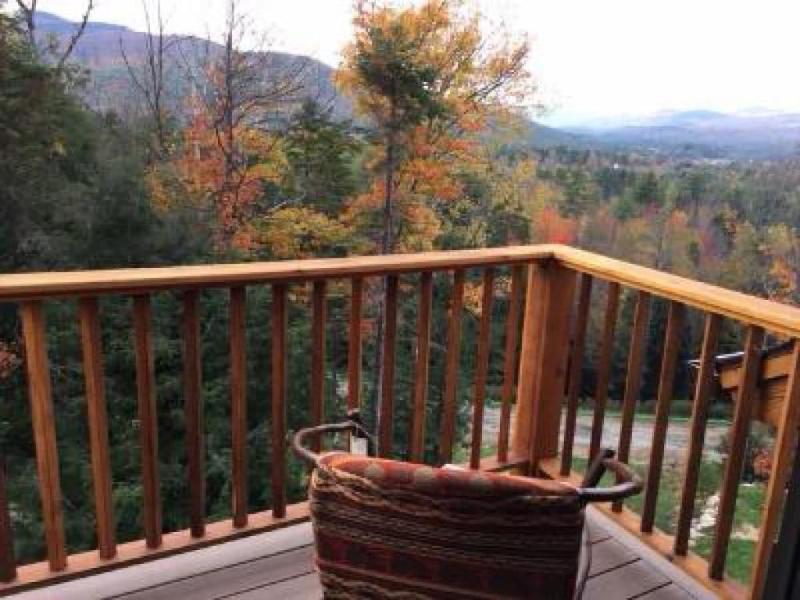 The Fern Lodge image