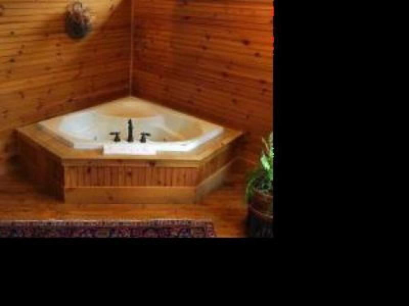 The Fern Lodge image
