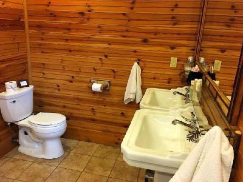 The Fern Lodge image
