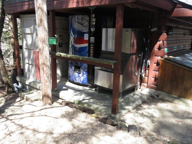 Tall Pines Inn