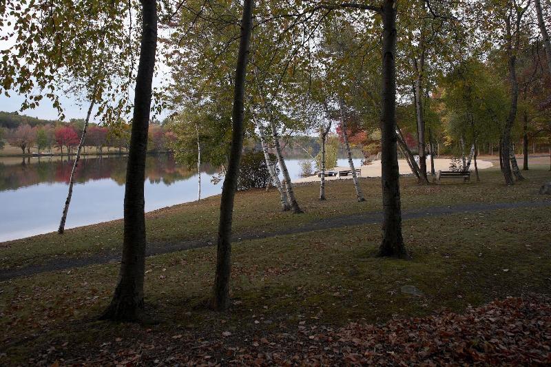 Mountain Springs Lake Resort image