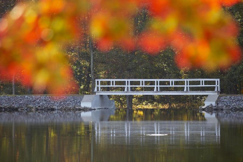 Mountain Springs Lake Resort image