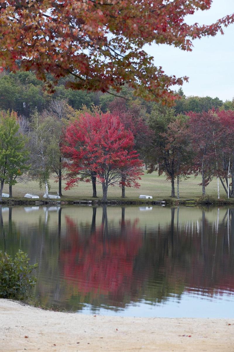 Mountain Springs Lake Resort image