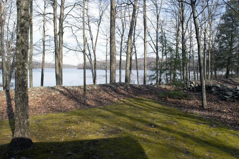 Mountain Springs Lake Resort image