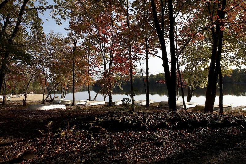 Mountain Springs Lake Resort image