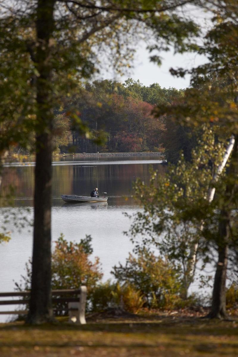 Mountain Springs Lake Resort image