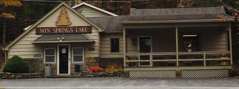 Mountain Springs Lake Resort image