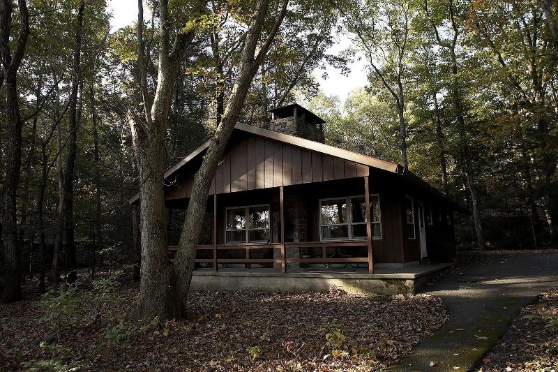 Mountain Springs Lake Resort image