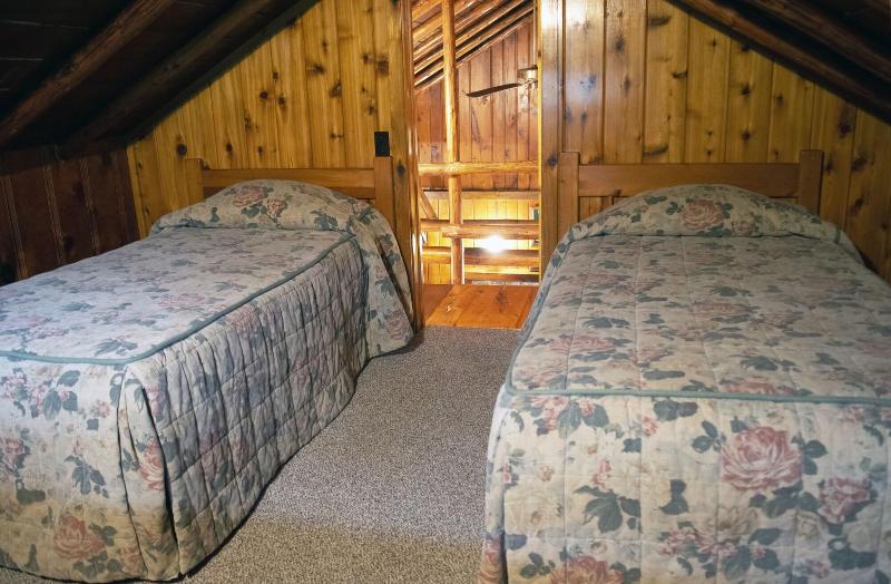 Mountain Springs Lake Resort image