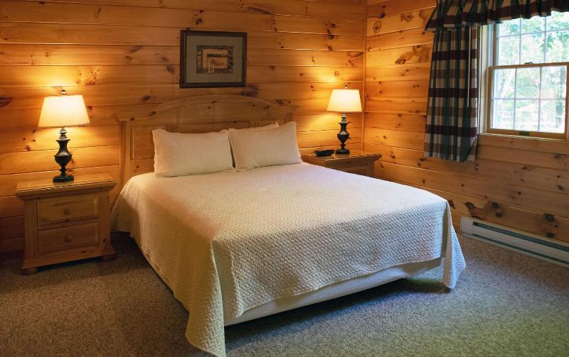 Mountain Springs Lake Resort image