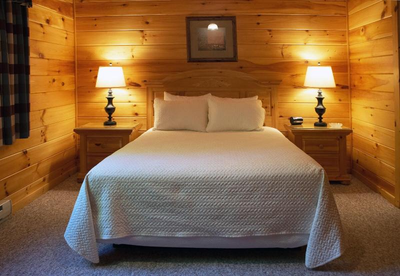 Mountain Springs Lake Resort image