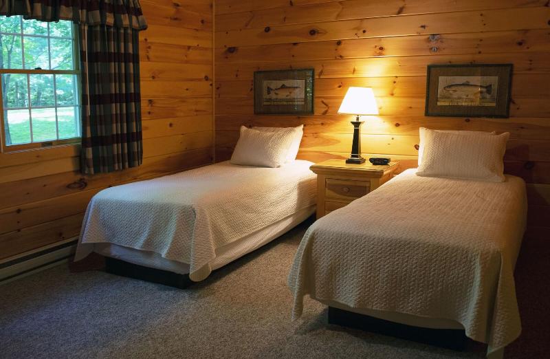 Mountain Springs Lake Resort image
