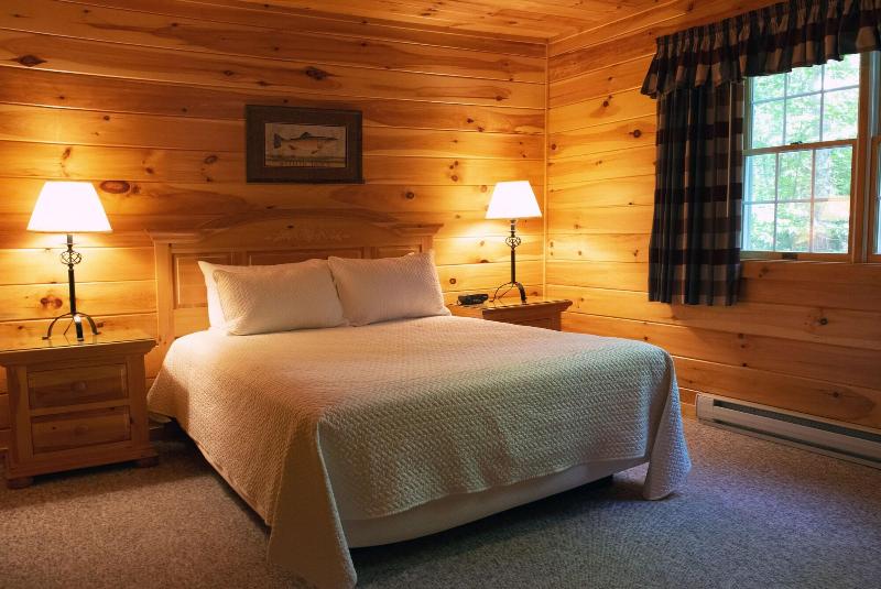 Mountain Springs Lake Resort image