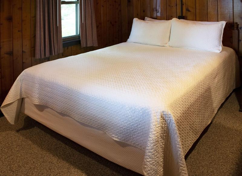 Mountain Springs Lake Resort image