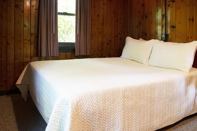 Mountain Springs Lake Resort image