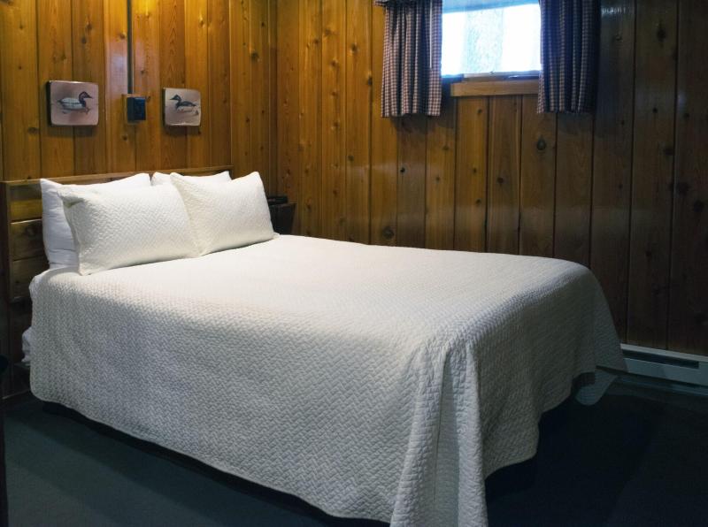 Mountain Springs Lake Resort image